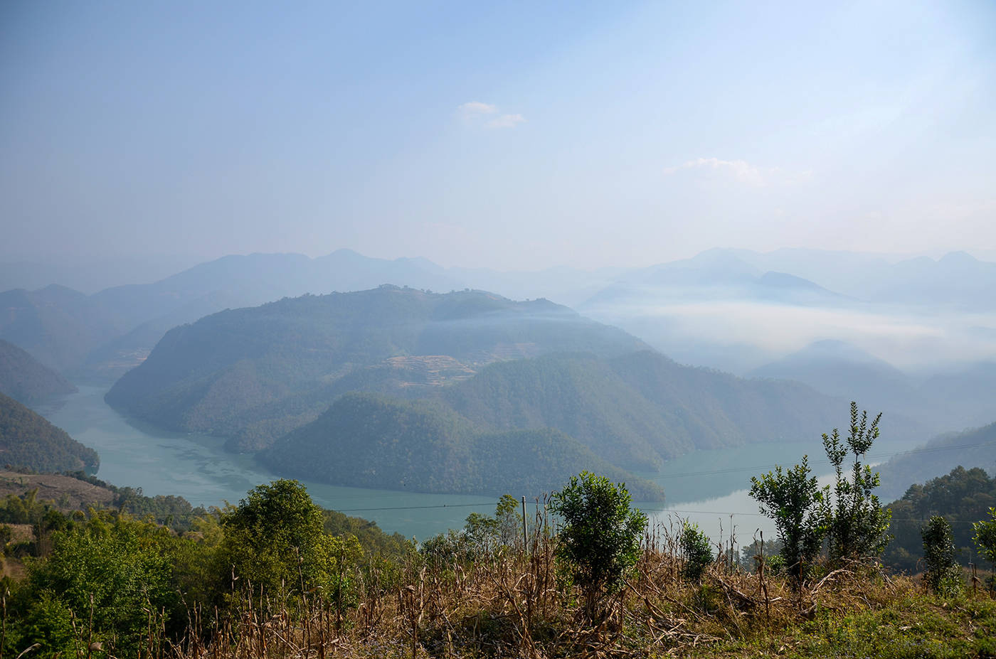 2021年白鶯山古樹秋茶，佛茶有什么魅力？