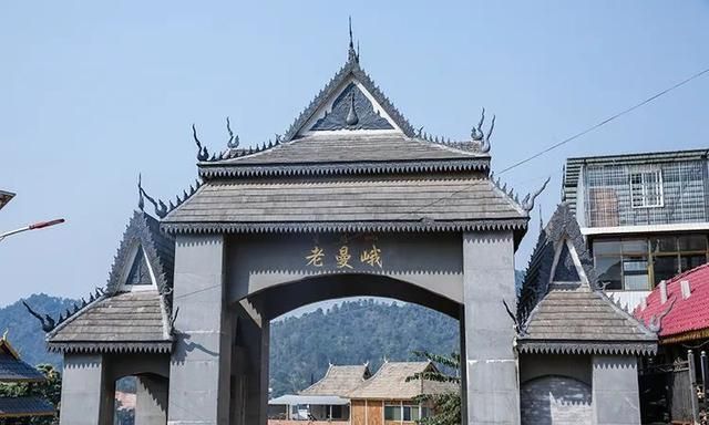 2021年老曼峨古樹(shù)秋茶特點(diǎn)？