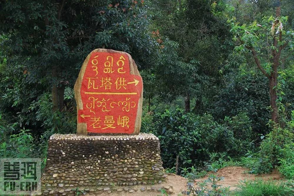 2021年老曼峨古樹秋茶價(jià)格多少？