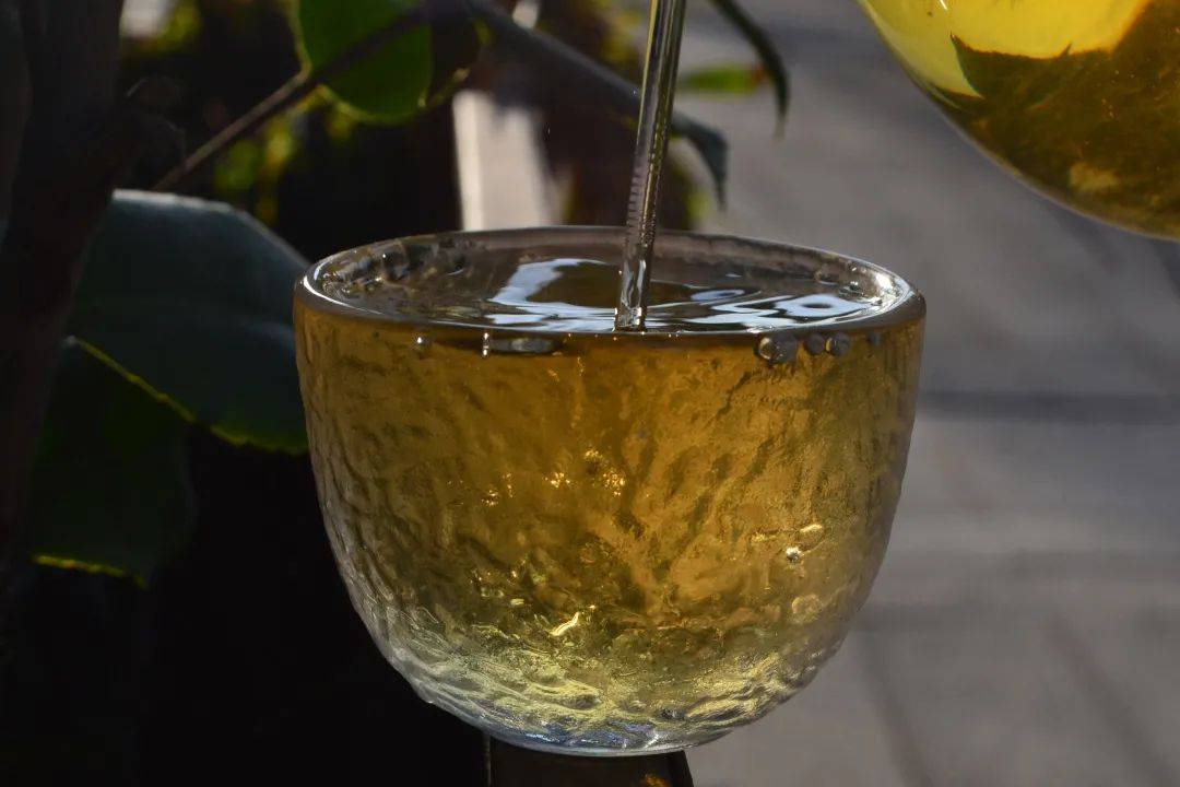 2021班章茶區(qū)壩卡竜古樹秋茶口感是什么？