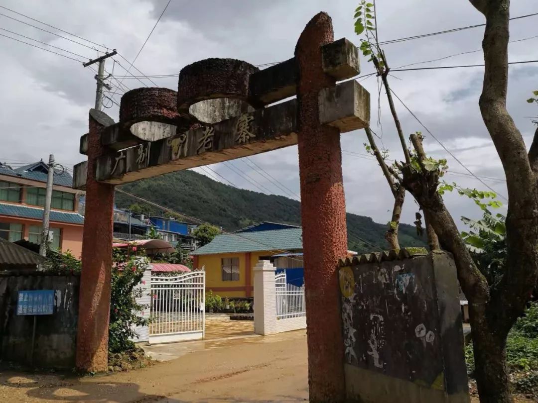 2021年廣別老寨古樹秋茶多少錢一公斤？