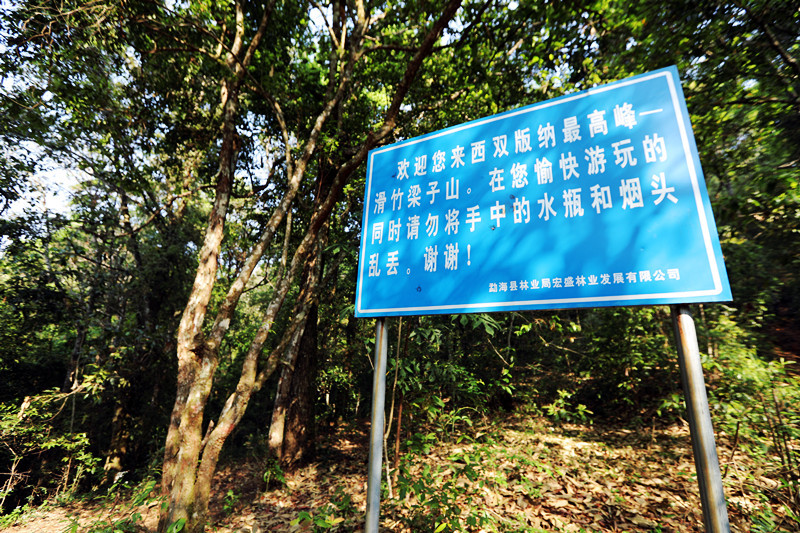 2021年滑竹梁子古樹(shù)秋茶價(jià)格？