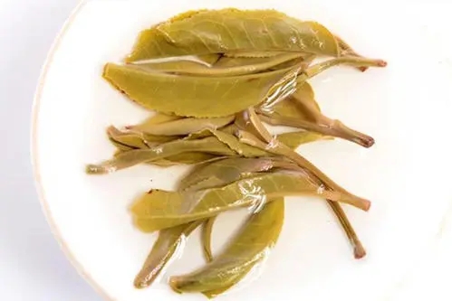 2021年南糯山拔瑪老寨古樹秋茶多少錢一公斤？