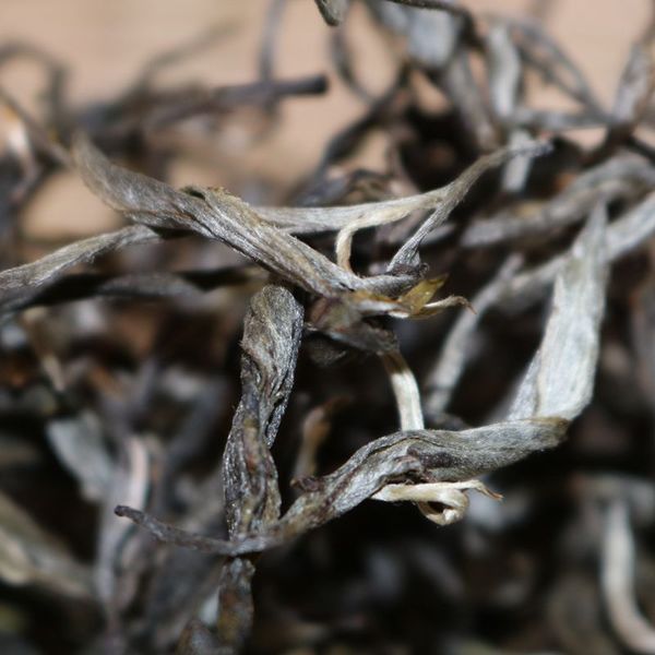 2021年帕沙古樹秋茶，你了解多少？