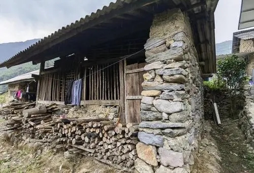 2022年景谷黃草壩古樹春茶特點是什么？