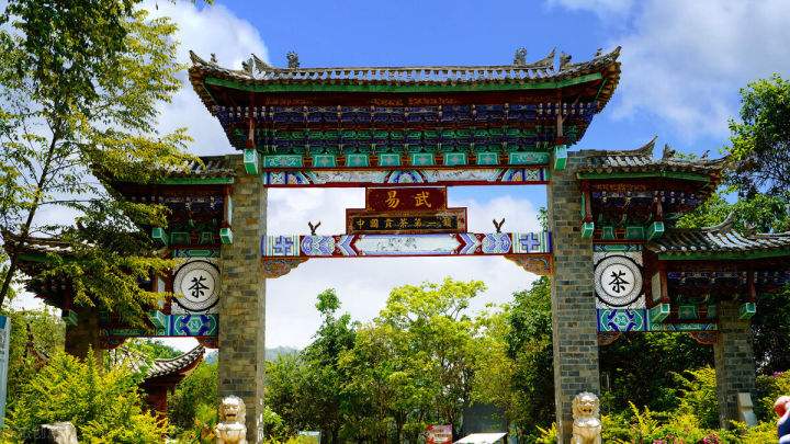 2022年易武正山在哪？易武正山是什么意思？