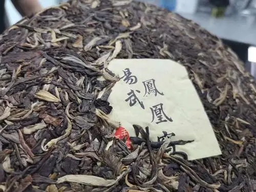 2022年鳳凰窩古樹高桿，鳳凰筑巢的地方