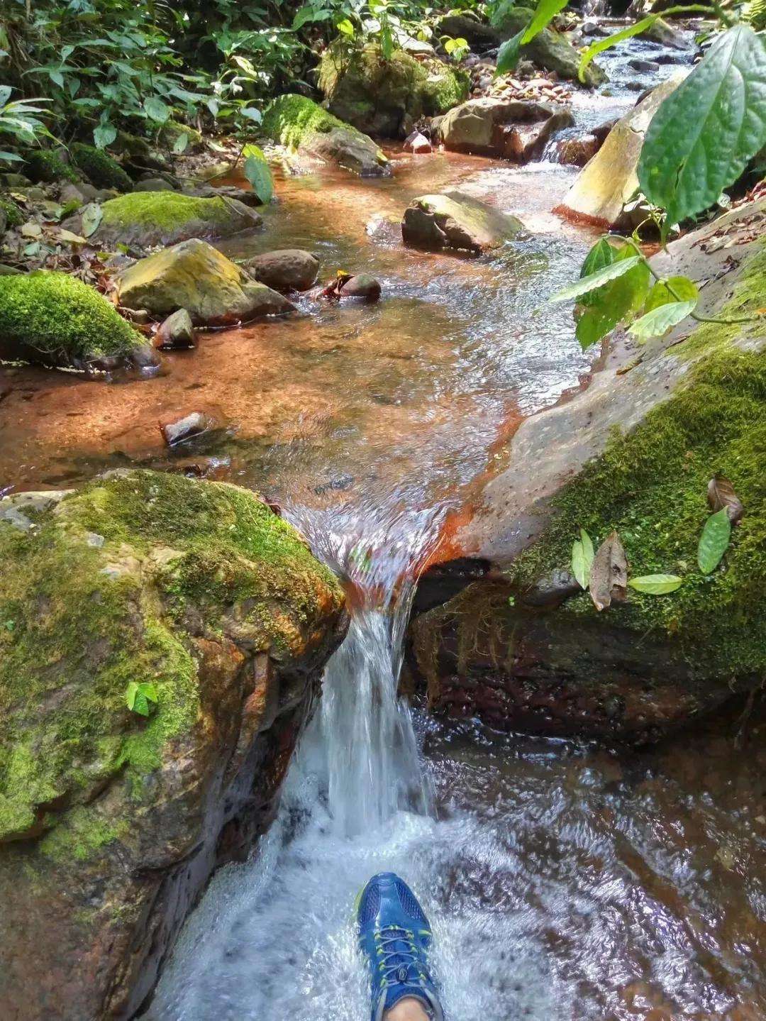 2022年銅箐河古樹春茶多少錢一公斤？