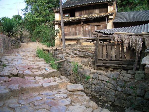 2022年蠻磚古樹春茶特點(diǎn)？