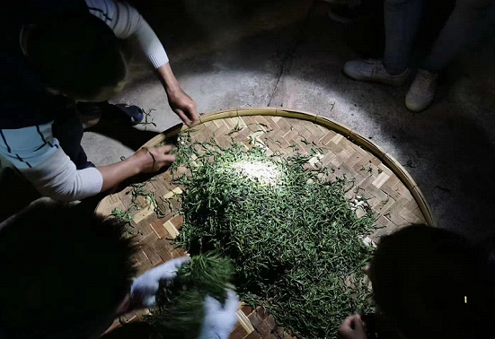 普洱茶非遺傳承人陳財，一鍋茶炒出10萬元