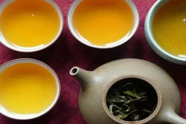 2022年普洱茶怎么泡法才正確？