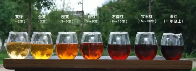 2022年普洱茶的茶湯湯色要怎么描述？