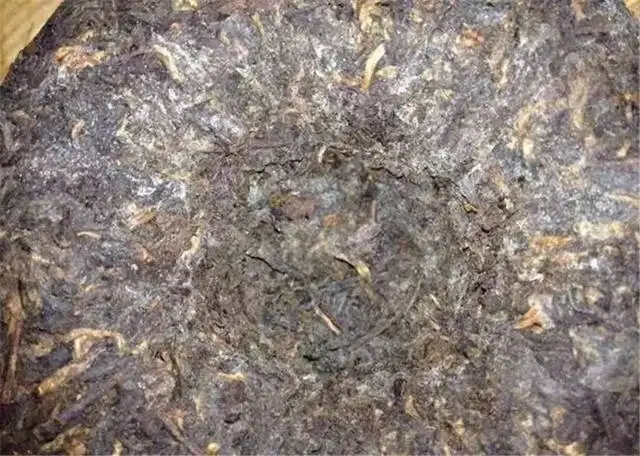 2022年普洱茶受潮發(fā)霉了怎么辦？