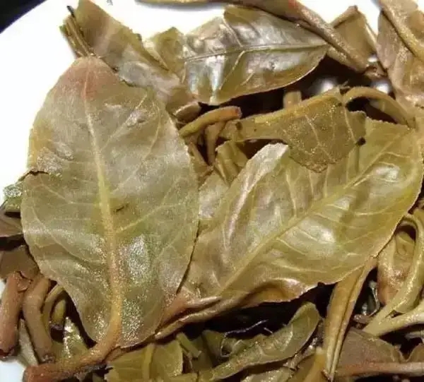 怎么看古樹普洱茶葉底？