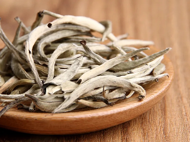 福鼎白茶、安吉白茶、云南月光白“三白”的區(qū)別