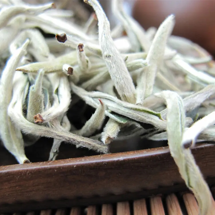 知識(shí)|傳說(shuō)中的云南月光白