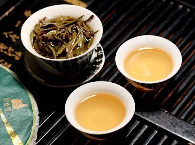 茶會(huì)“說(shuō)話”，讀懂云南古樹(shù)普洱茶的秘訣