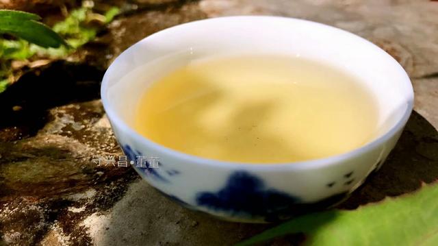 普洱茶有31種香味，你能聞出幾種來(lái)?