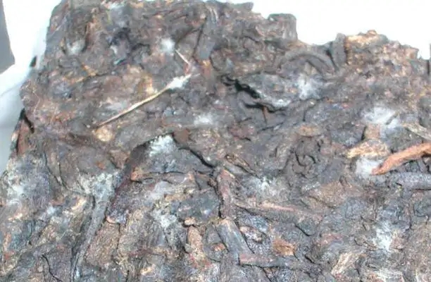 ?普洱茶發(fā)霉了怎么辦？教你妙招應(yīng)對(duì)發(fā)霉的普洱茶！