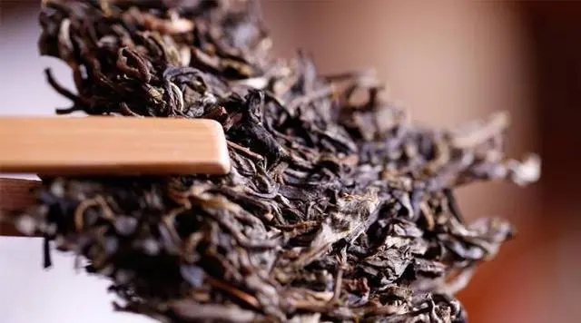 普洱生茶好還是普洱熟茶好喝？如何挑選適合自己的普洱茶？