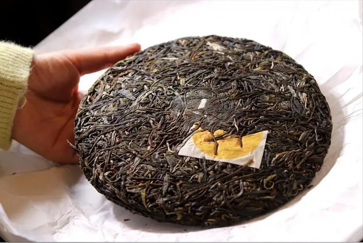 犀牛塘 | 古韻留香，帕沙之王