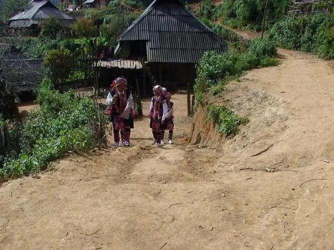 2022年的春天，古樹味道從犀牛塘開始！