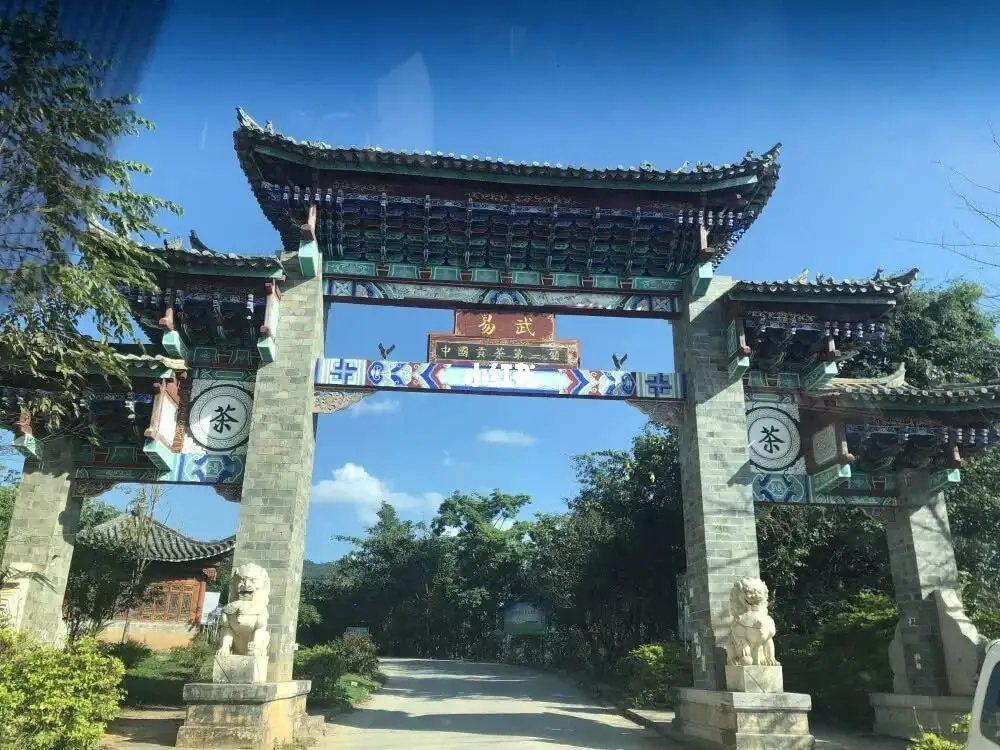 古樹茶年份越老，茶葉就越好嗎？影響茶葉品質(zhì)的因素有哪些？