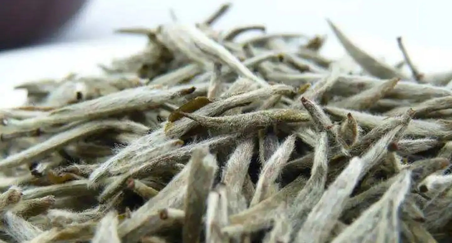 茶毫越多的茶，品質(zhì)就越高嗎？