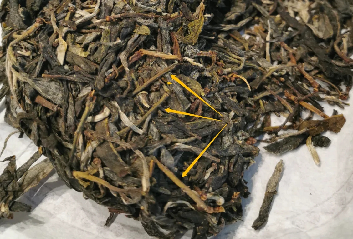 普洱茶的葉底有茶梗，就是茶不好嗎？