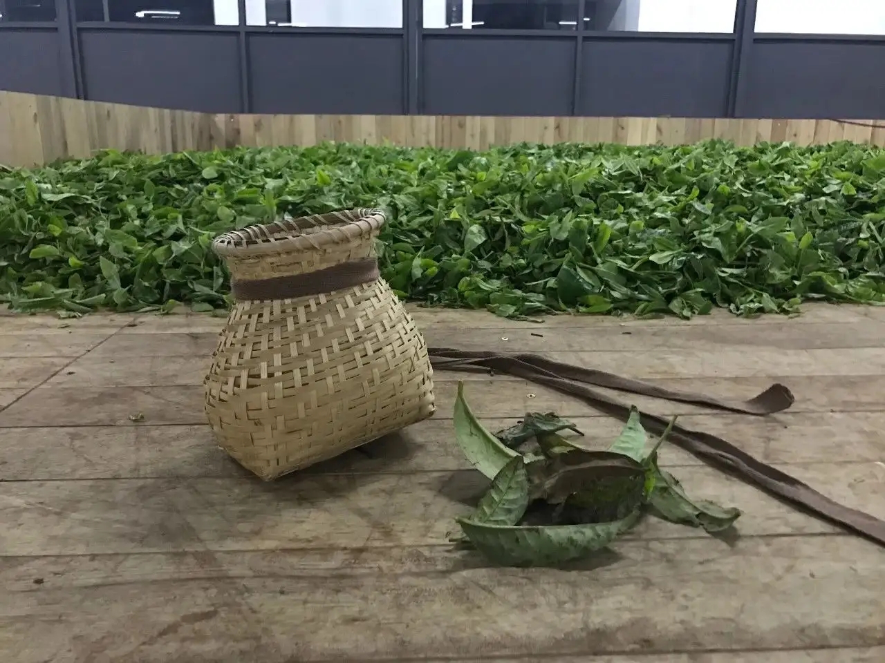 普洱茶，如果不談山頭，我們談什么？