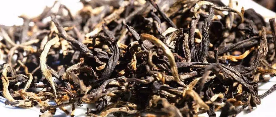 什么是茶氣？茶氣強勁又是一種怎樣的體驗？