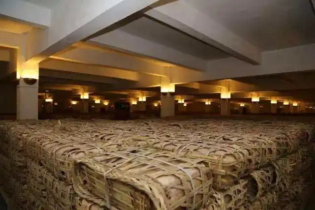 云南古樹普洱茶好在哪？相比小樹茶、臺地茶有何不同？