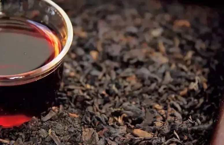 普洱生茶與熟茶那個減肥效果好？