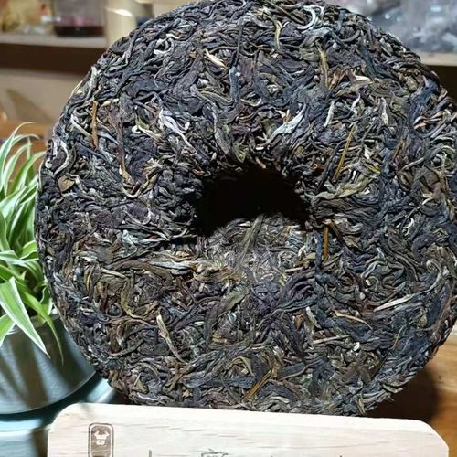 勐庫茶到底是個啥味道？