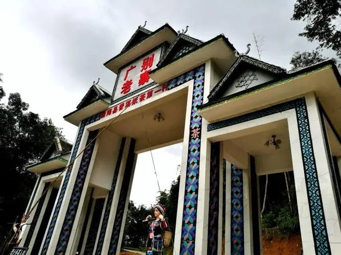 2023年廣別老寨古樹春茶品質(zhì)如何？