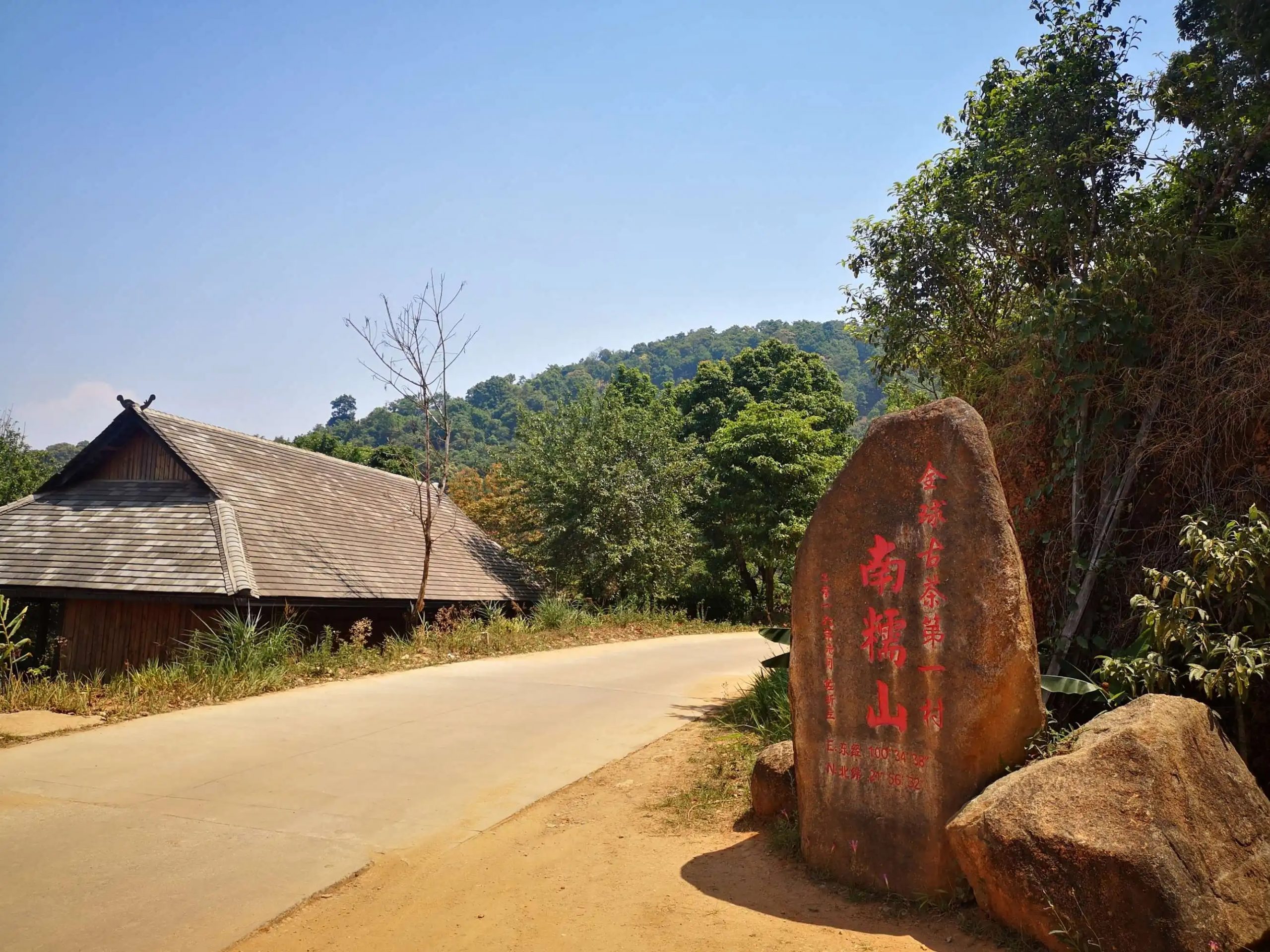 2023年南糯山古樹春茶品質(zhì)怎么樣？