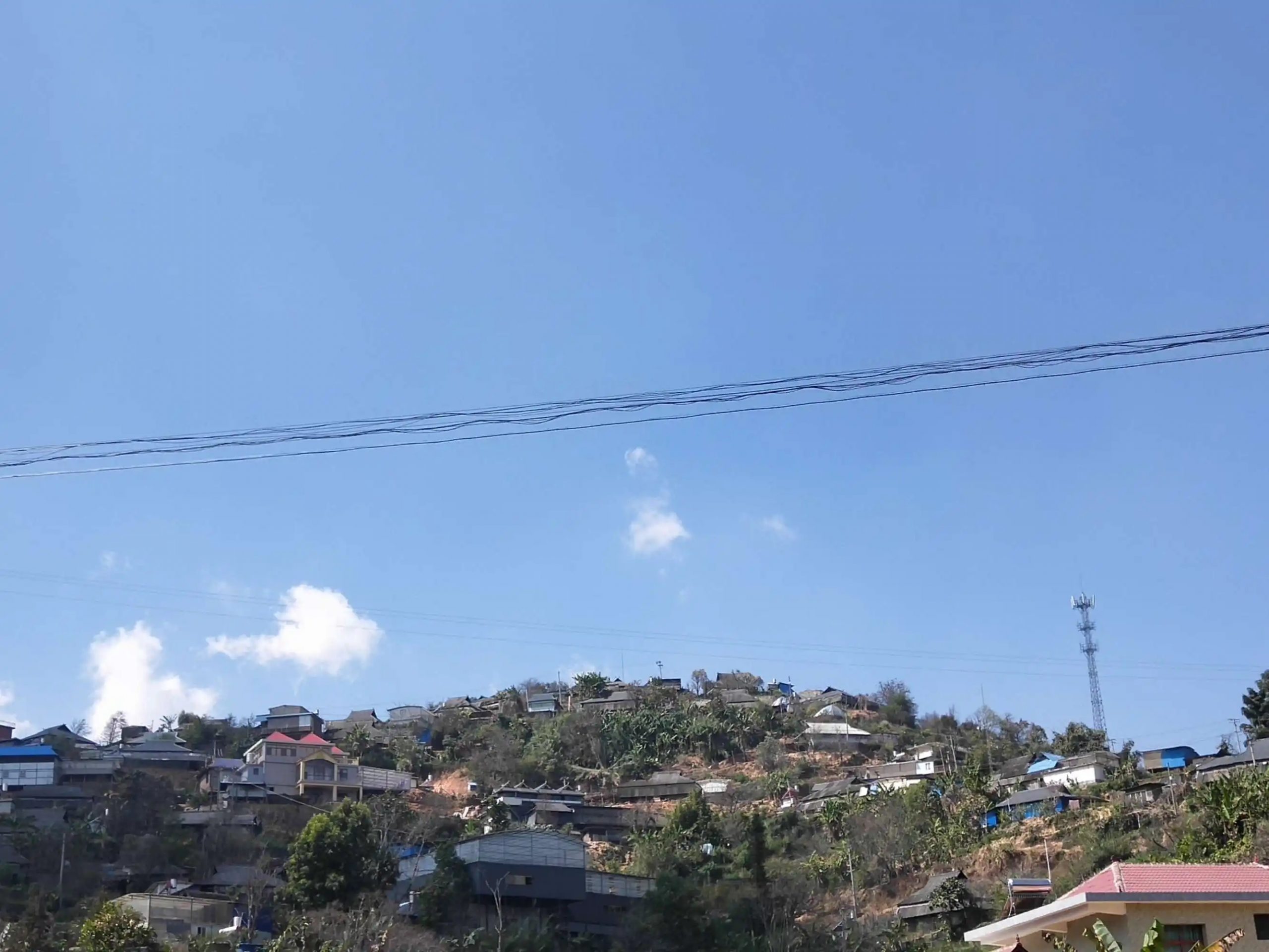 2023帕沙古樹春茶特點是什么？