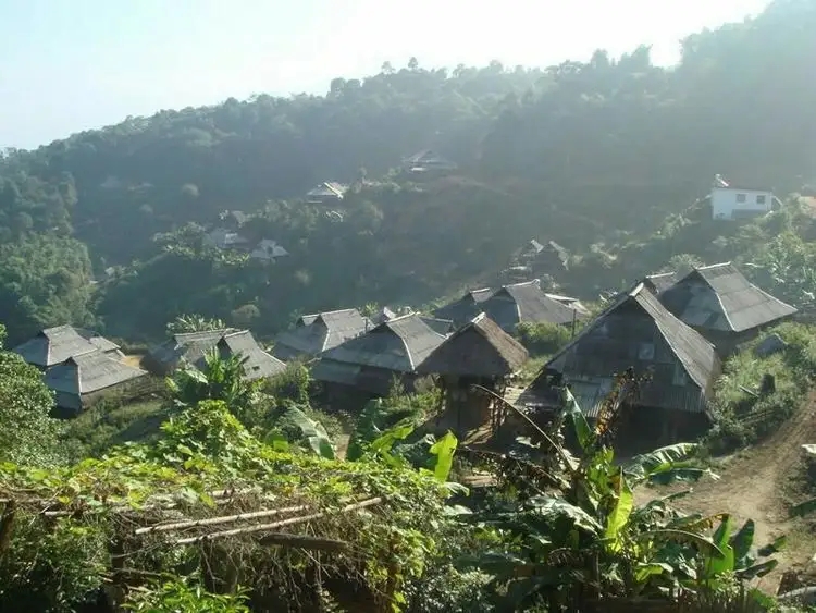 2023年帕沙古樹(shù)春茶多少一公斤？