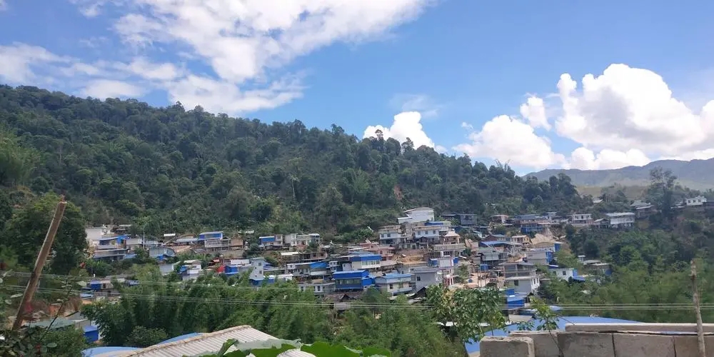 2023年那卡古樹春茶品質如何？