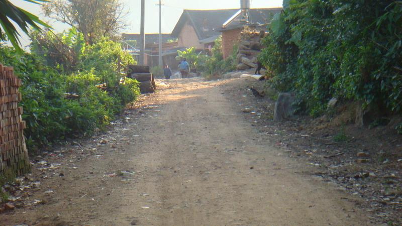 2023年保塘老寨古樹春茶價(jià)格是多少？