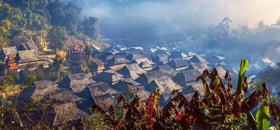 2023年景邁古樹春茶品質(zhì)如何？