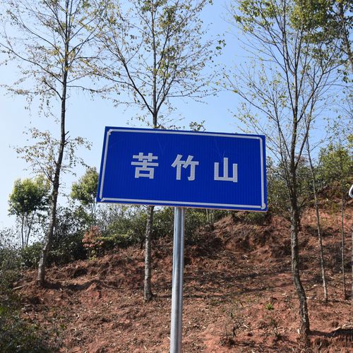 2023年苦竹山古樹春茶品質(zhì)如何？