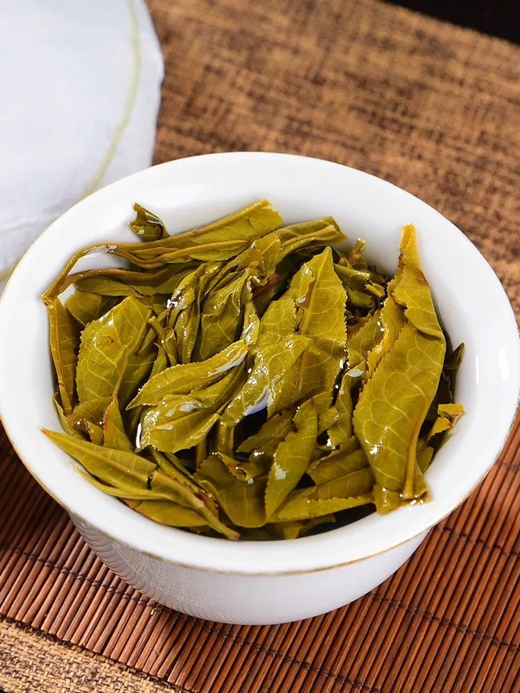 2023白鶯山古樹春茶特點是什么？