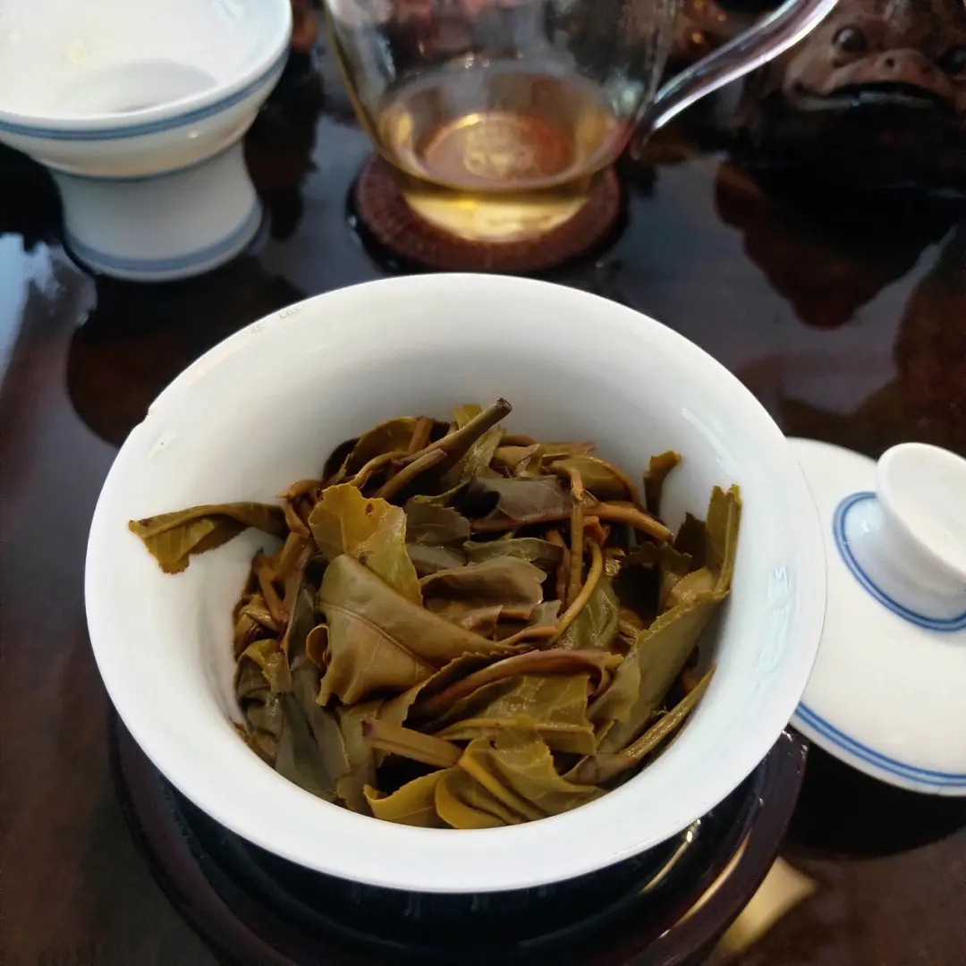 2023年昔歸古樹春茶口感如何？