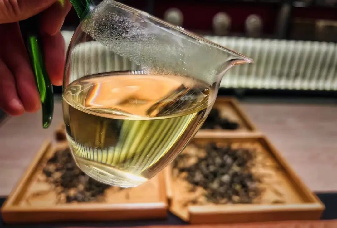 2023年鳳凰窩古樹春茶價(jià)格是多少？