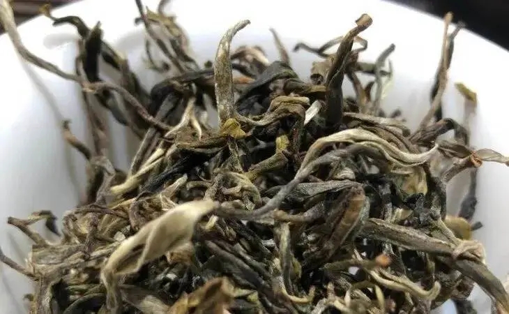 2023年鳳凰窩古樹春茶多少一公斤？