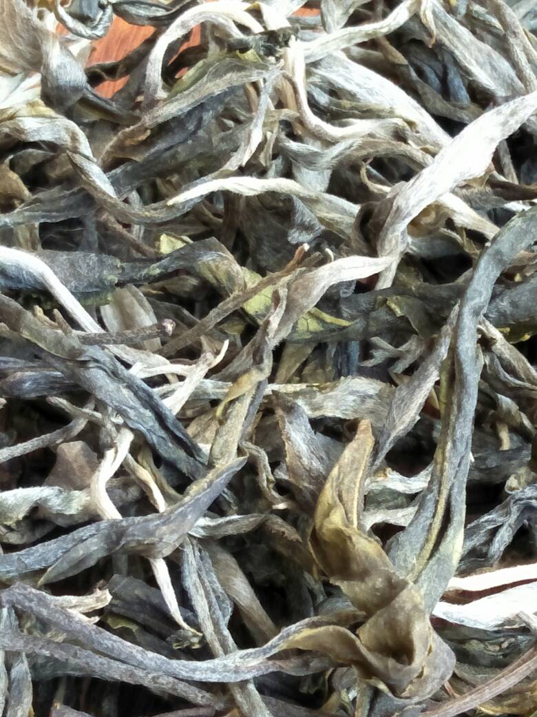 2023年壩歪古樹春茶價格是多少？