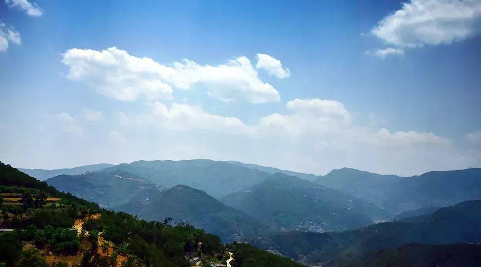 2023年勐庫大忠山古樹春茶價(jià)格是多少？