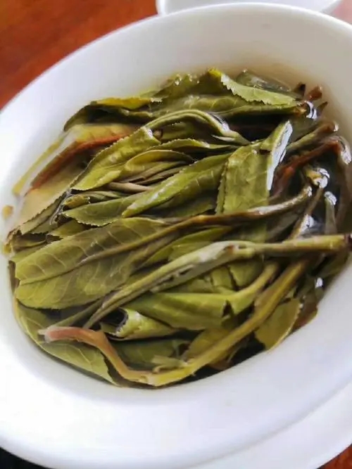 2023年鍋底塘古樹春茶特點是什么？