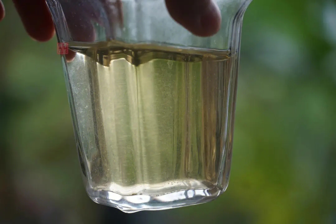 2023年多依樹(shù)古樹(shù)春茶價(jià)格是多少？